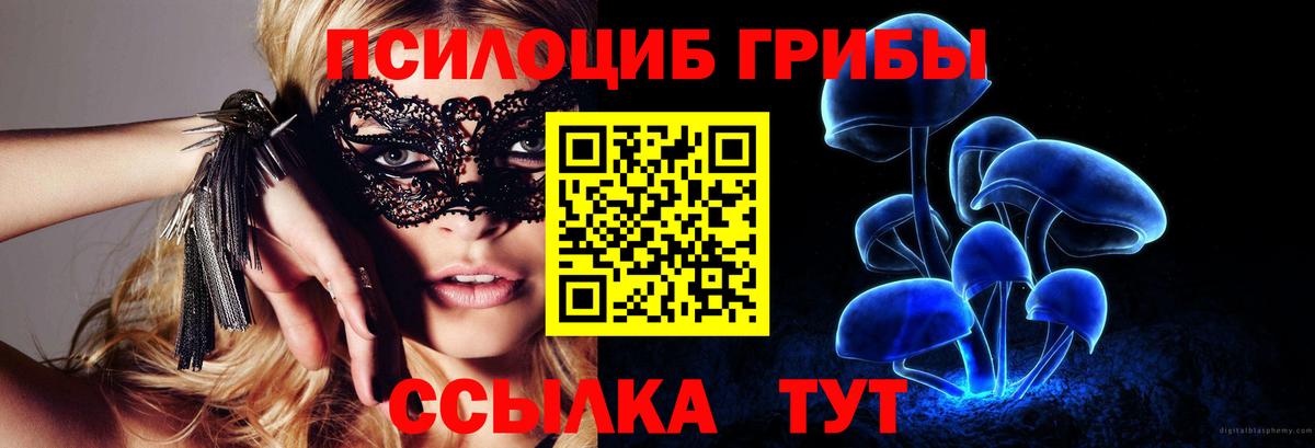 Галлюциногенные грибы прущие грибы  Вход с VPN  Борисоглебск 