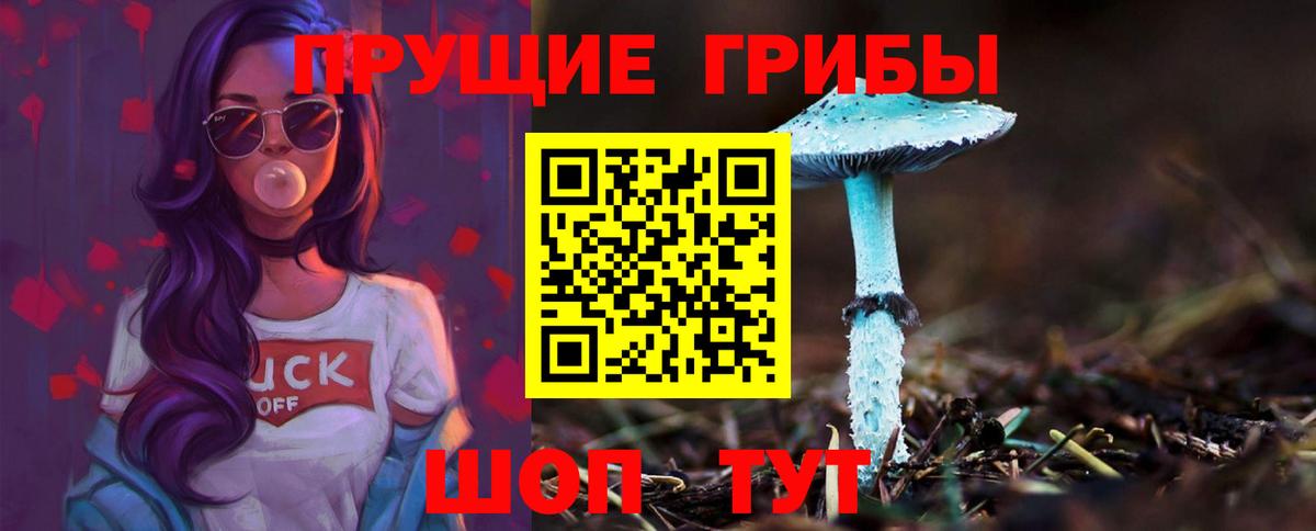 Галлюциногенные грибы GOLDEN TEACHER Борисоглебск